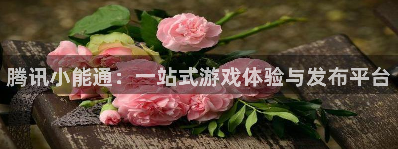 陕西db电竞子文化创意有限公司有什么游戏：腾讯小能通：一站式游戏体验与发布平台
