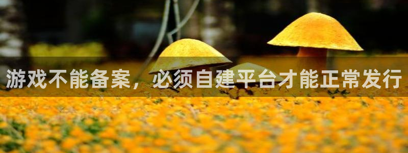 db电竞庄园：游戏不能备案，必须自建平台才能正常发行