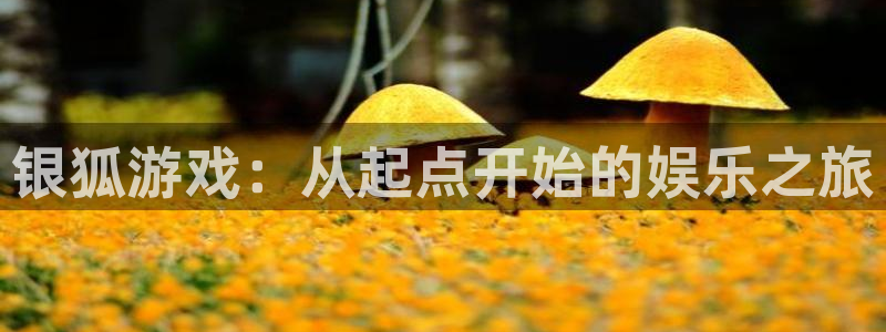 db电竞子出版社：银狐游戏：从起点开始的娱乐之旅