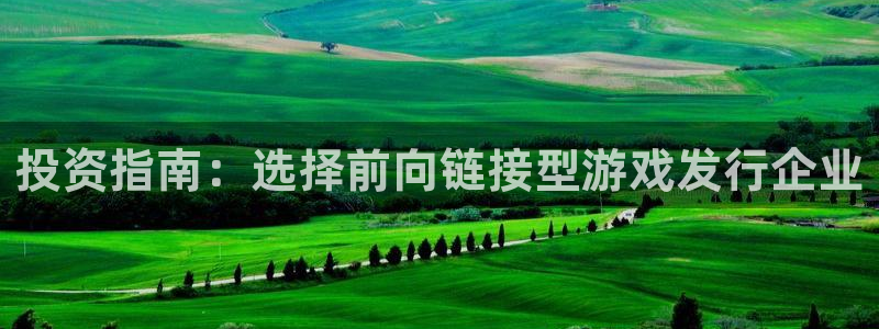db电竞logo：投资指南：选择前向链接型游戏发行企业
