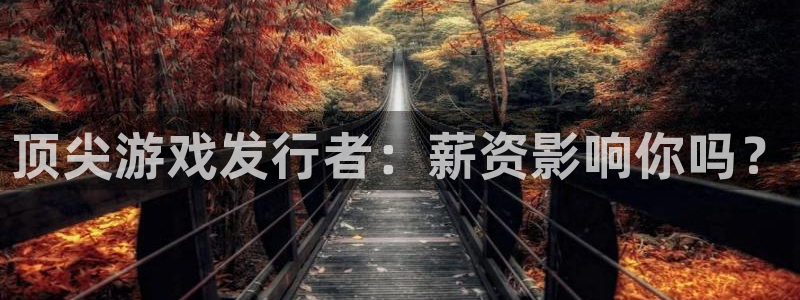 db电竞环境科技有限公司：顶尖游戏发行者：薪资影响你吗？