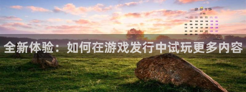 db电竞官网是境外的吗：全新体验：如何在游戏发行中试玩更多内容