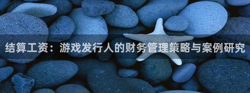 db电竞官网注册方法是什么样的：结算工资：游戏发行人的财务管理策略与案例研究