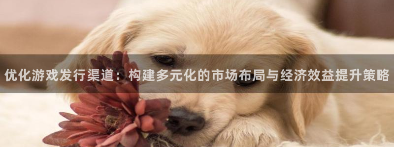 db电竞子酒业：优化游戏发行渠道：构建多元化的市场布局与经济效益提升策略