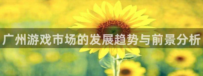 db电竞logo：广州游戏市场的发展趋势与前景分析