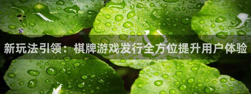 db电竞集团有限公司：新玩法引领：棋牌游戏发行全方位提升用户体验