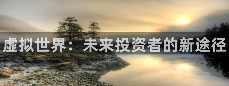 db电竞子年度最佳图书：虚拟世界：未来投资者的新途径