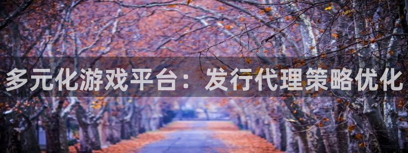 db电竞子文化创意有限公司特邀玩家：多元化游戏平台：发行代理策略优化