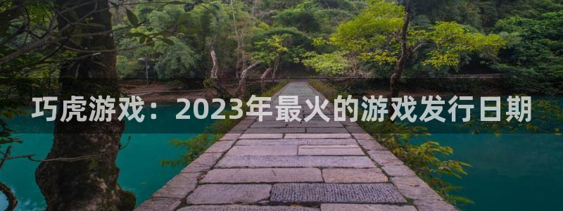 db电竞官网代理注册地址：巧虎游戏：2023年最火的游戏发行日期