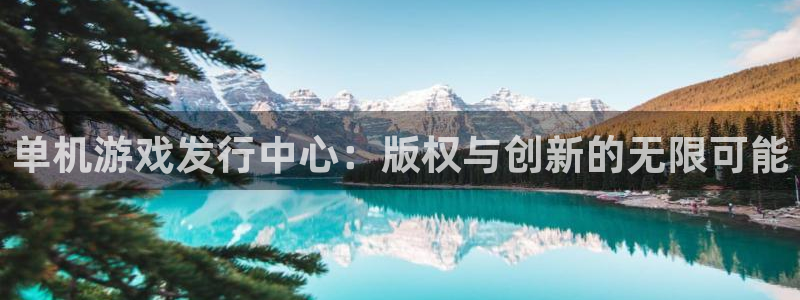 db电竞龙：单机游戏发行中心：版权与创新的无限可能