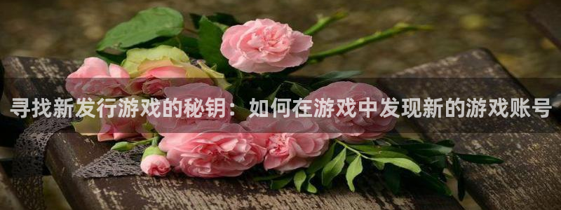 广州db电竞网络科技有限公司电话：寻找新发行游戏的秘钥：如何在游戏中发现新的游戏账号