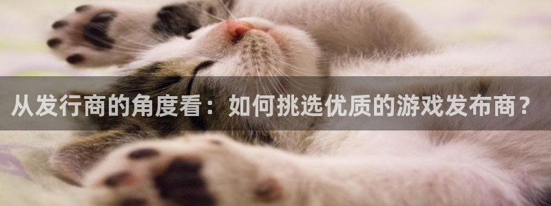 db电竞官网注册平台：从发行商的角度看：如何挑选优质的游戏发布商？