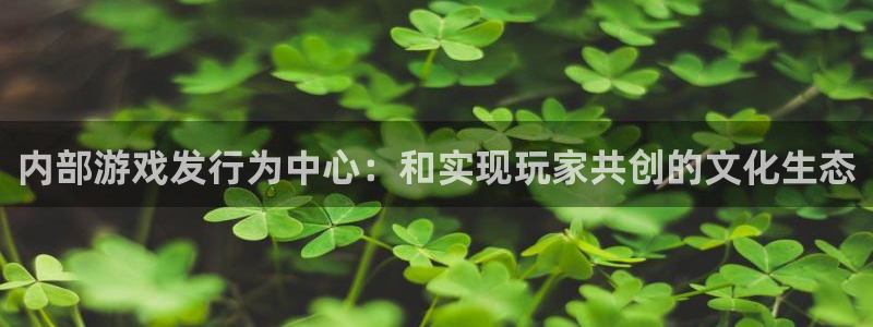 db电竞官网注册方法是什么意思：内部游戏发行为中心：和实现玩家共创的文化生态