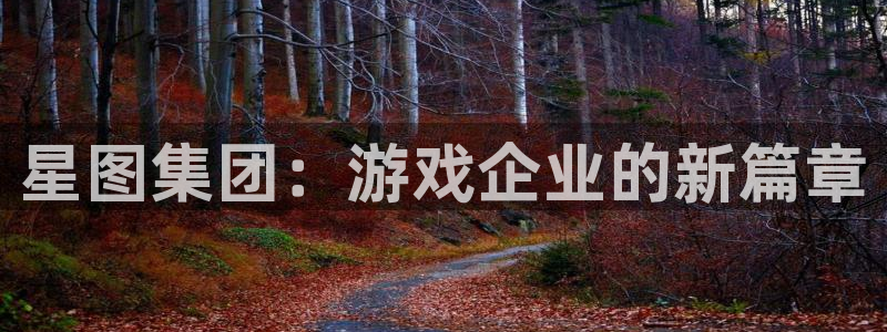 广东db电竞电商bruno：星图集团：游戏企业的新篇章