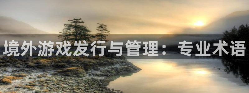 db电竞官网注册方法是什么意思：境外游戏发行与管理：专业术语