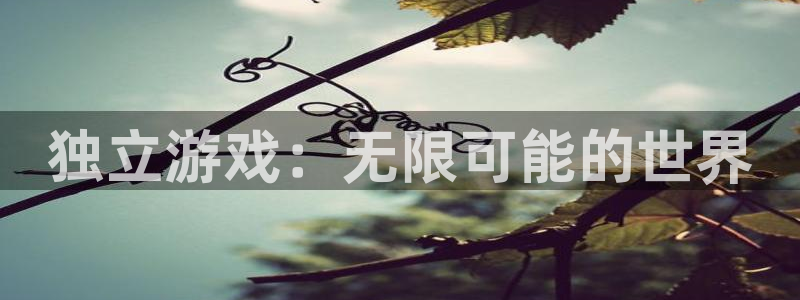 db电竞官网代理注册不了：独立游戏：无限可能的世界