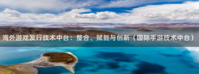 db电竞官网登录注册账号是什么样的：海外游戏发行技术中台：整合、赋能与创新（国际手游技术中台）