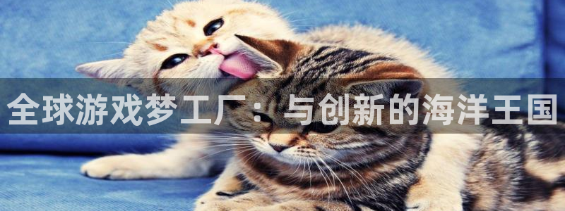 db电竞官网注册登录官网：全球游戏梦工厂：与创新的海洋王国