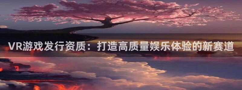 db电竞电子商务有限公司招聘：VR游戏发行资质：打造高质量娱乐体验的新赛道