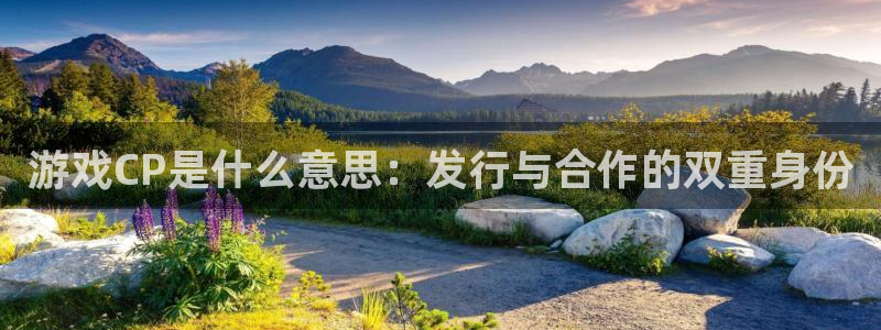 陕西db电竞子文化创意是什么：游戏CP是什么意思：发行与合作的双重身份