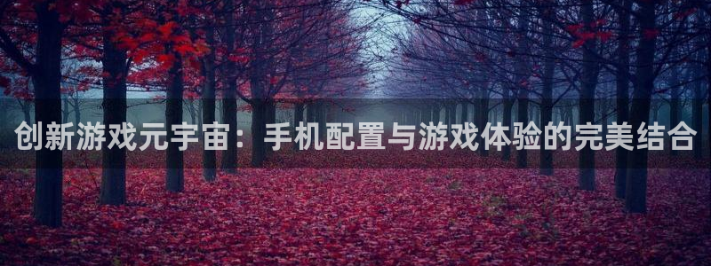 db电竞官网注册方法视频：创新游戏元宇宙：手机配置与游戏体验的完美结合