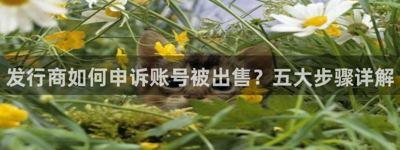 广东db电竞电子商务有限公司