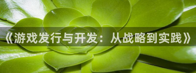 db电竞干红葡萄酒750毫升多少钱：《游戏发行与开发：从战略到实践》