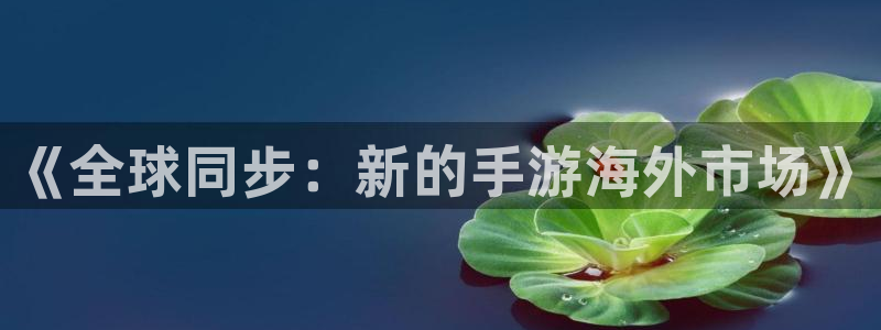 广东db电竞：《全球同步：新的手游海外市场》